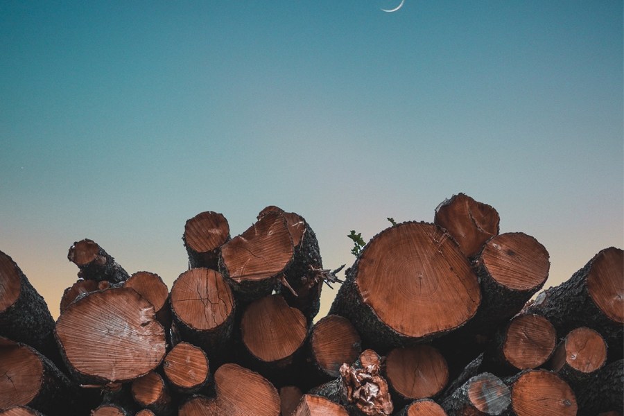 Australian raw timber export supply